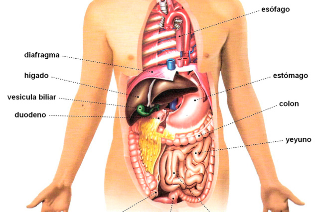 coach in soccer schools, trainer soccer schools, coach level 2 in soccer, expert in sports education in soccer, coach in viso del alcor