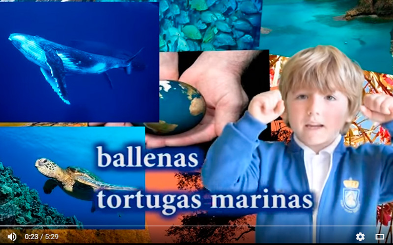 Entrenador en escuelas de futbol, fomador escuelas de futbol, entrenador nivel 2 en futbol, tecnico en enseñanzas deportivas en futbol, entrenador en el viso del alcor